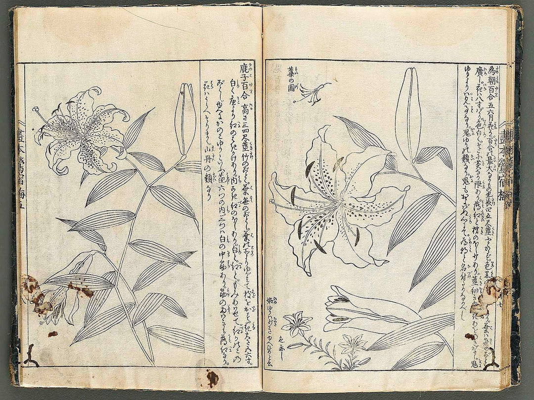 Ehon oushukubai Volume 5 by Tachibana Morikuni / BJ327-691