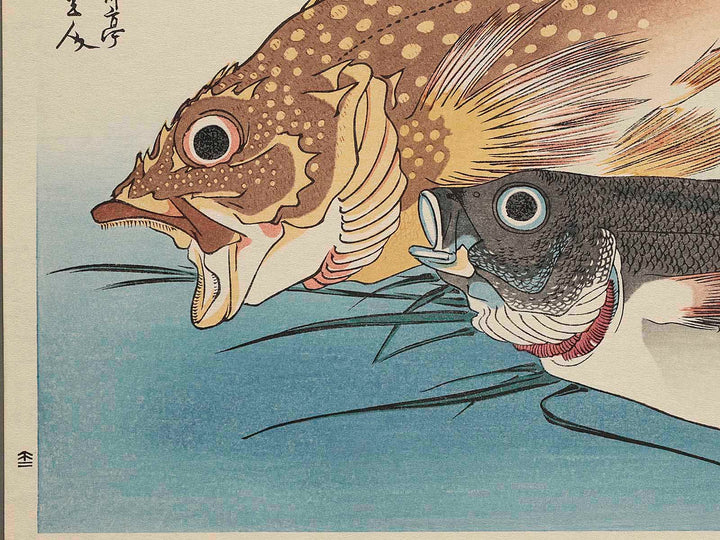 Scorpionfish, Grunt & Ginger from the series the series FISH by Utagawa Hiroshige, (Large print size) / BJ235-081