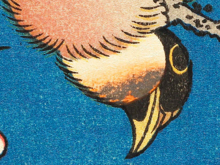 Weeping cherry blossoms against a dark indigo background, capturing the moment a Japanese bullfinch comes to peck at the blossoms. by Katsushika Hokusai, (Medium print size) / BJ319-445