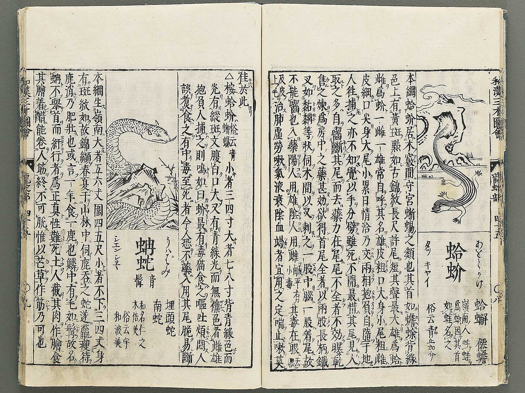 Wakan sansai zue Part 45, Book 46 / BJ349-230