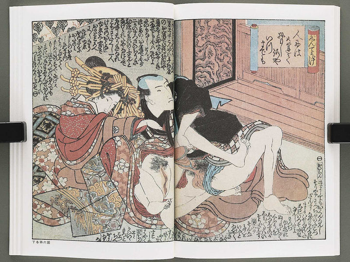 Otome sugata Volume 9 by Utagawa Kunitora / BJ346-500