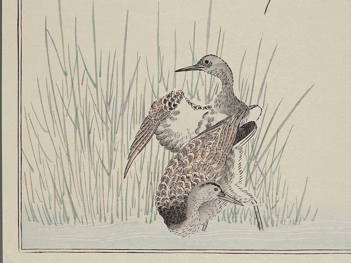 Wren and Snipe from the series Momochidori kyokaawase by Kitagawa Utamaro, (Large print size) / BJ244-958