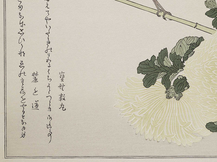 Branta canadensis and Robin from the series Momochidori kyokaawase by Kitagawa Utamaro, (Large print size) / BJ327-999