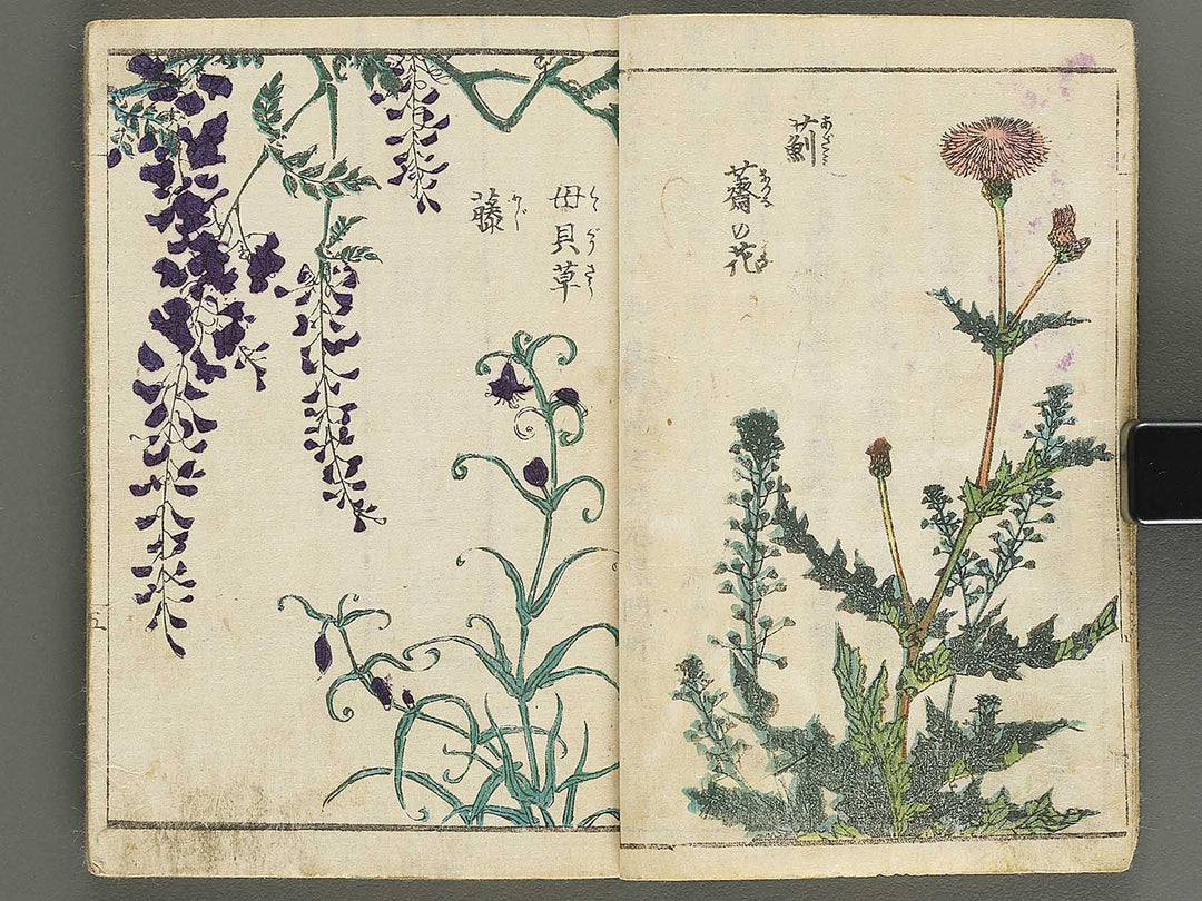 Soka e tehon by Keisai Eisen / BJ348-040