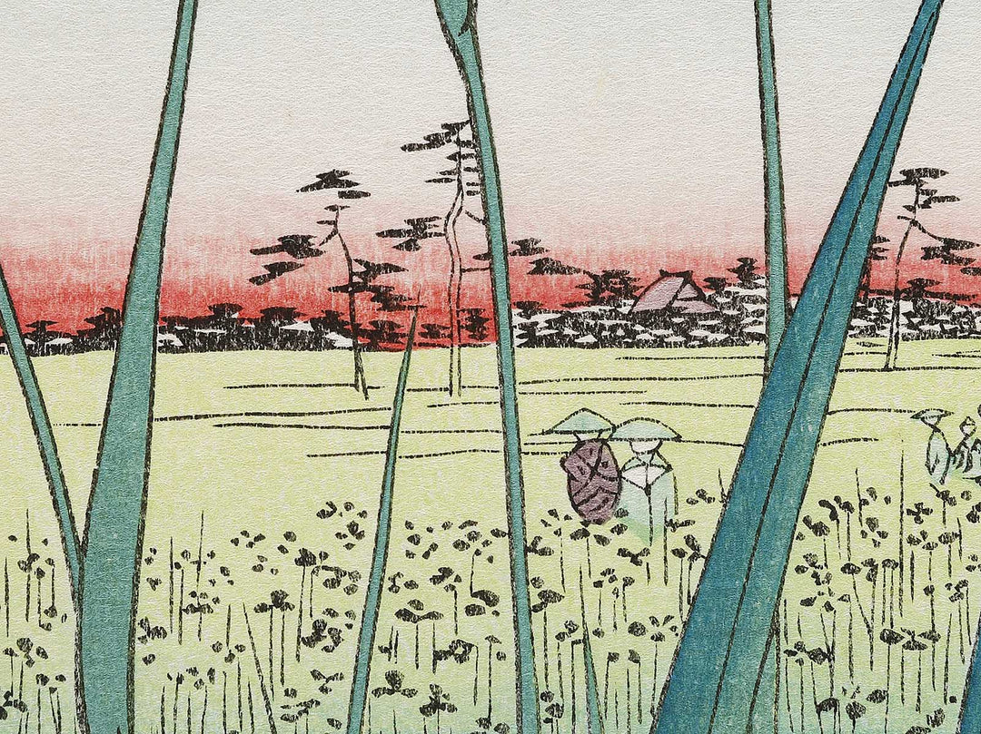 Horikiri Iris Garden from the series One Hundred Famous Views of Edo by Utagawa Hiroshige, (Large print size) / BJ331-541