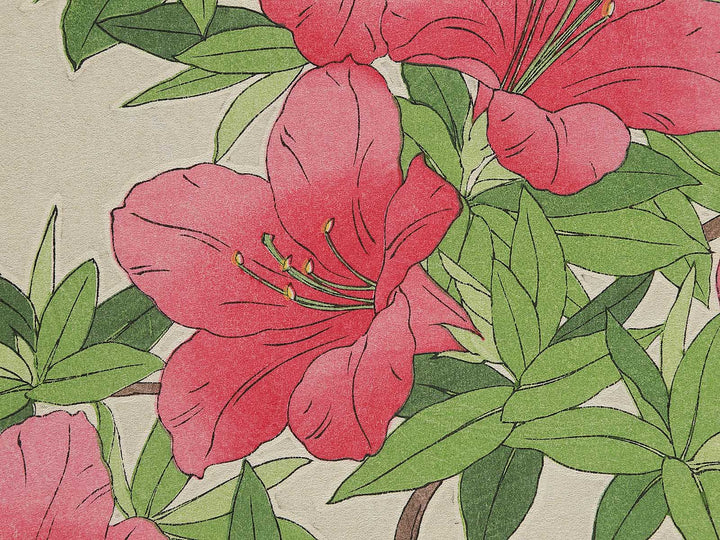 Tsutsuji by Kawarazaki Shodo, (Large print size) / BJ346-262