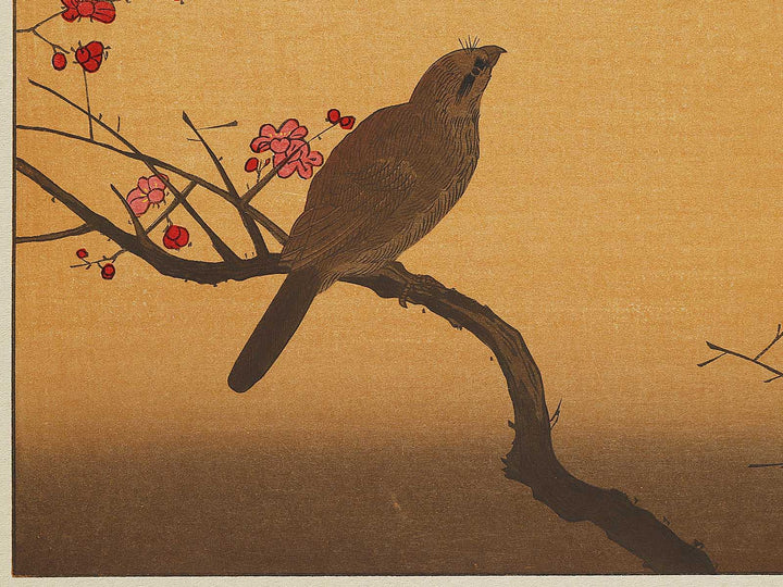 Hawk and Shrike from the series Momotidori kyoka awase by Kitagawa Utamaro, (Large print size) / BJ328-293