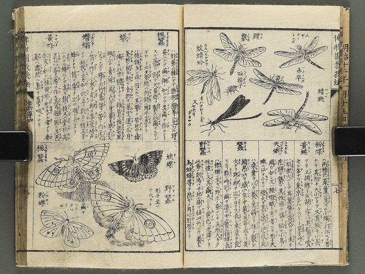 Hakubutsu kyojyuho Volume 4-5 by           / BJ344-729
