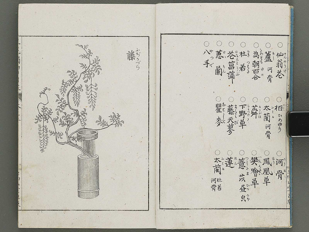 Shoryu hiden ikebana dokushu jizai Volume 3 / BJ332-752