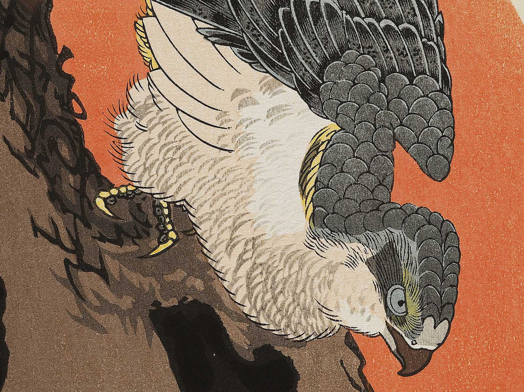 Hinode ni matsu ni taka by Utagawa Hiroshige, (Medium print size) / BJ328-195