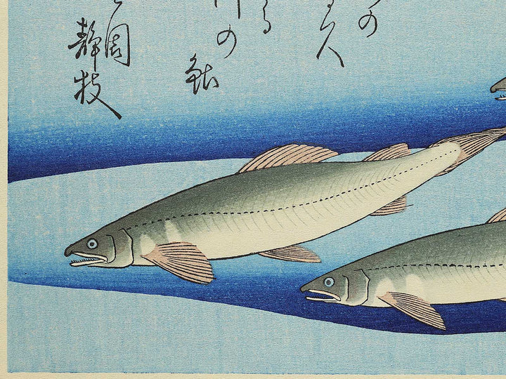 Ayu from the series the series FISH by Utagawa Hiroshige, (Medium print size) / BJ330-554
