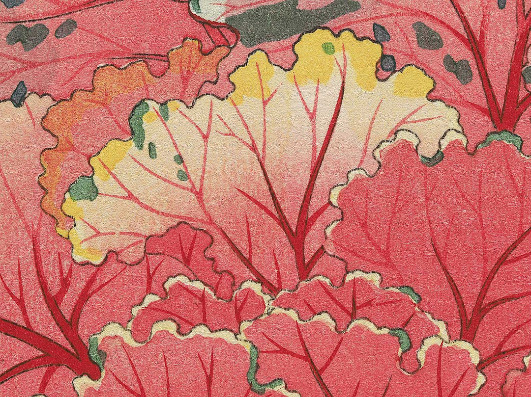 Habotan by Kawarazaki Shodo, (Large print size) / BJ346-269