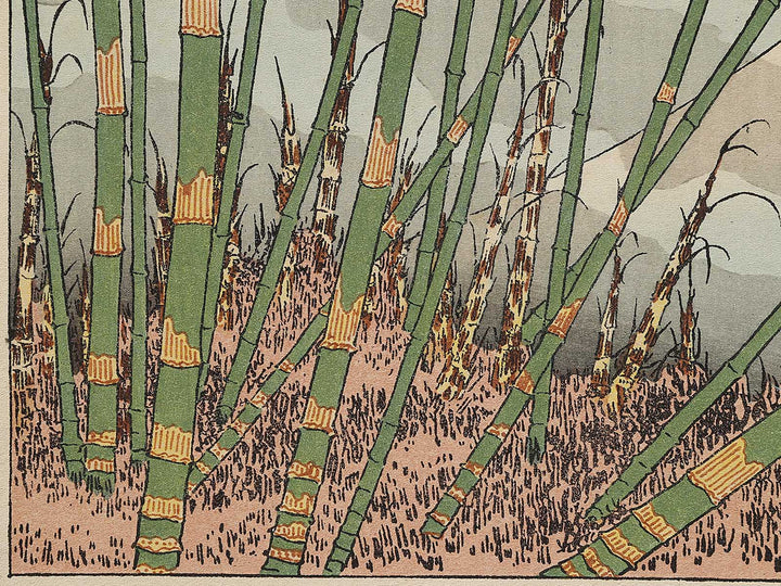 Chikurin no fuji from the series One Hundred Views of Mount Fuji by Katsushika Hokusai, (Medium print size) / BJ321-783