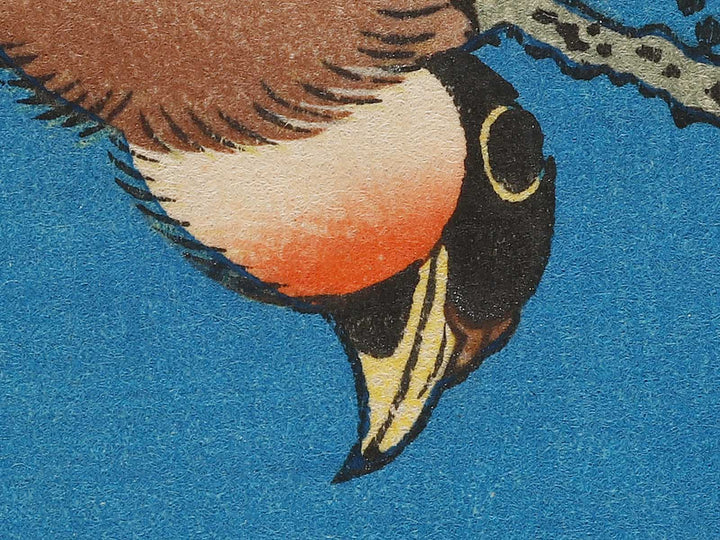 Weeping cherry blossoms against a dark indigo background, capturing the moment a Japanese bullfinch comes to peck at the blossoms. by Katsushika Hokusai, (Medium print size) / BJ321-643