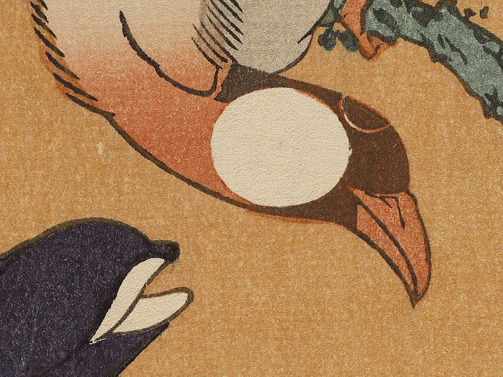 Buncho kobushi no hana by Katsushika Hokusai, (Large print size) / BJ336-119