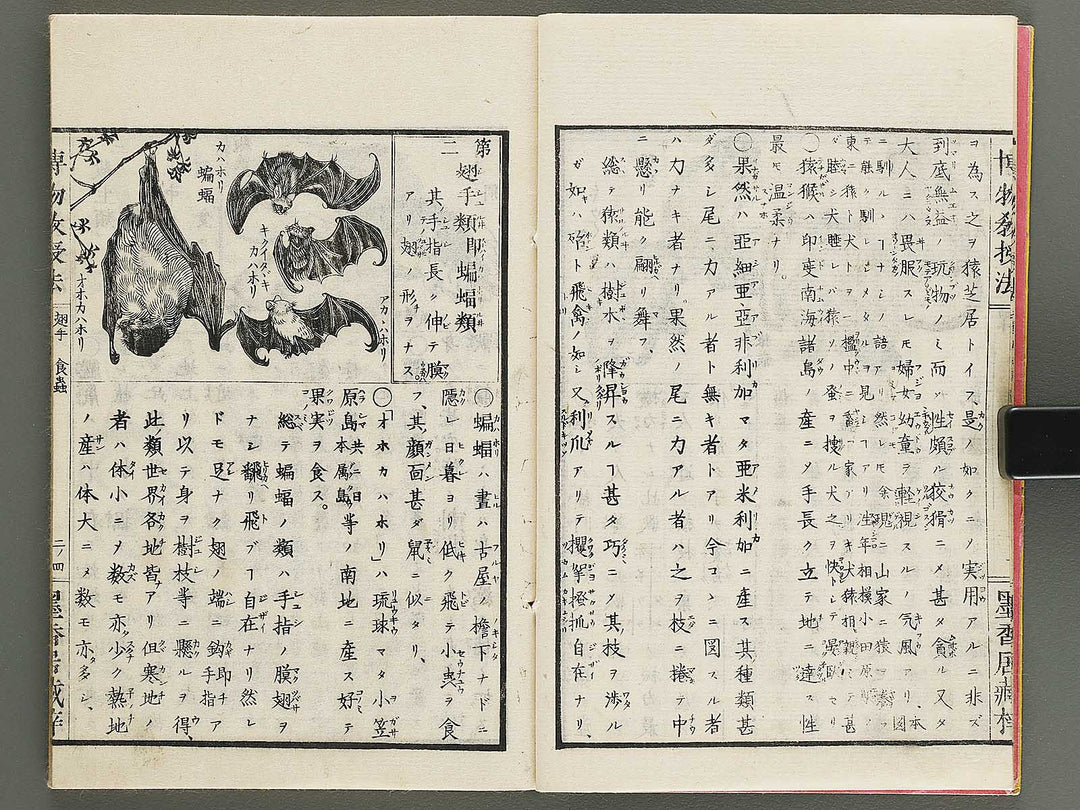 Hakubutsu kyojyuho Volume 2 / BJ341-579