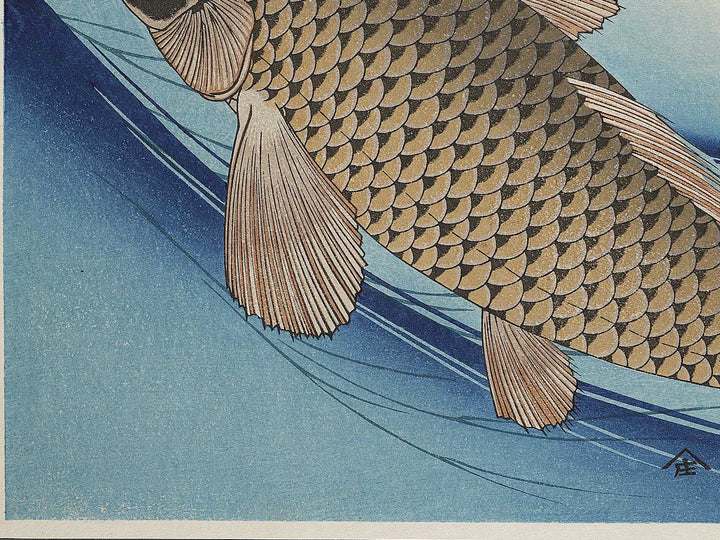 Japanese Carp from the series the series fish by Utagawa Hiroshige, (Large print size) / BJ325-619
