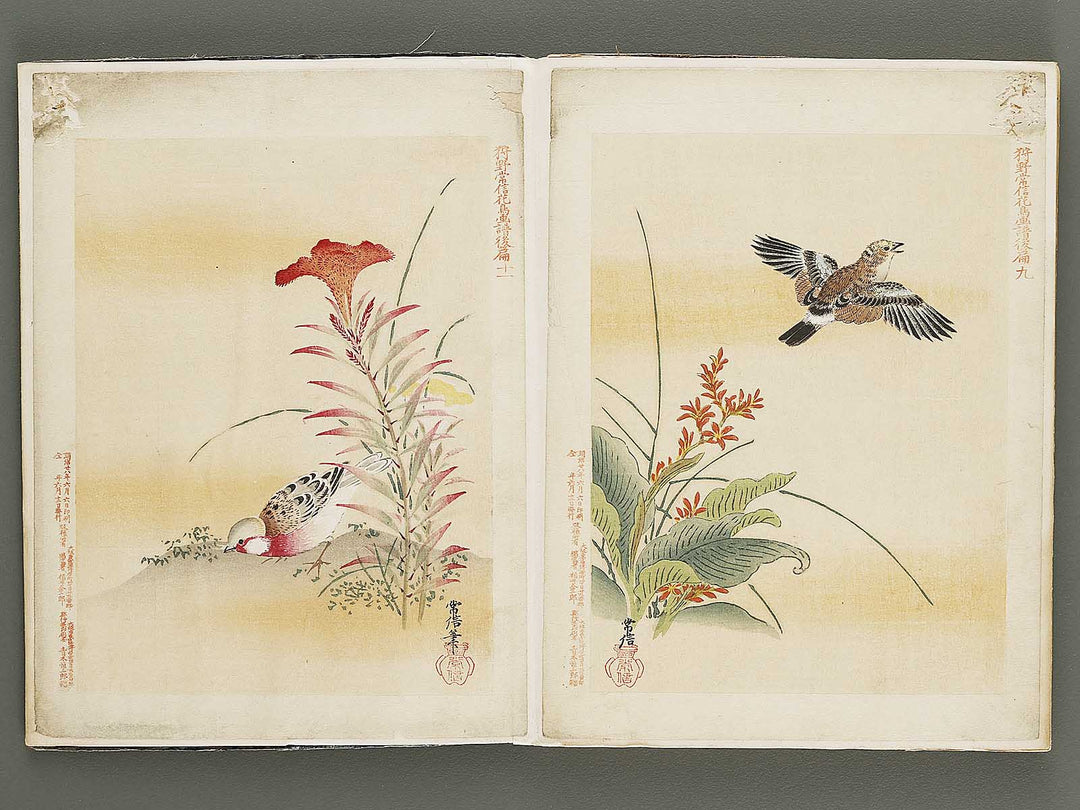 Gacho by Kano-school / BJ324-044