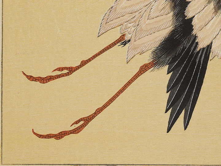 Konotori by Katsushika Hokusai, (Medium print size) / BJ327-446