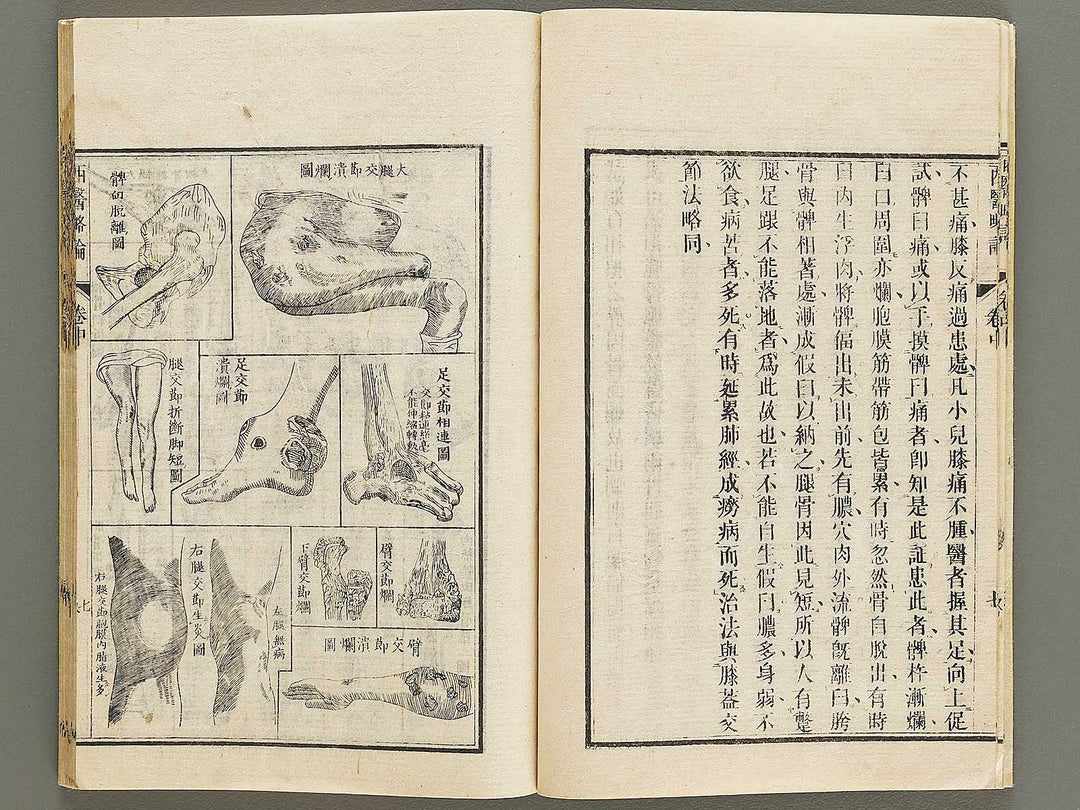 Seii ryakuron (Chu, Jo) / BJ326-319