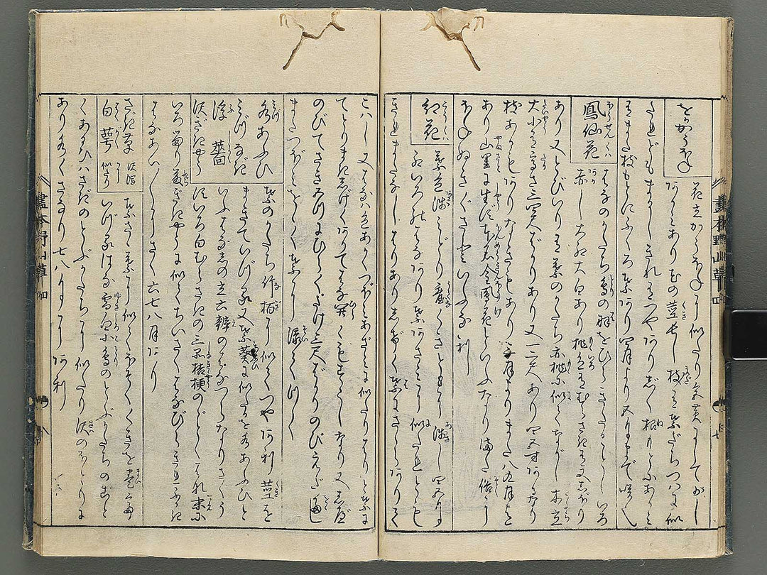 Gahon noyama gusa Volume 4 / BJ346-332