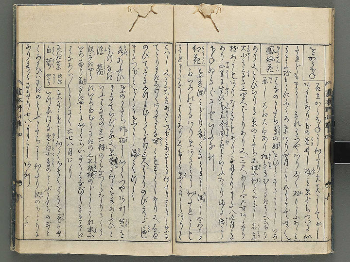 Gahon noyama gusa Volume 4 / BJ346-332