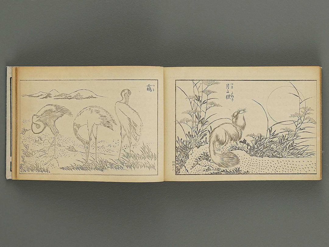 hyakko bijyutsu gafu Part 1 by Ogamino Sonso / BJ339-920