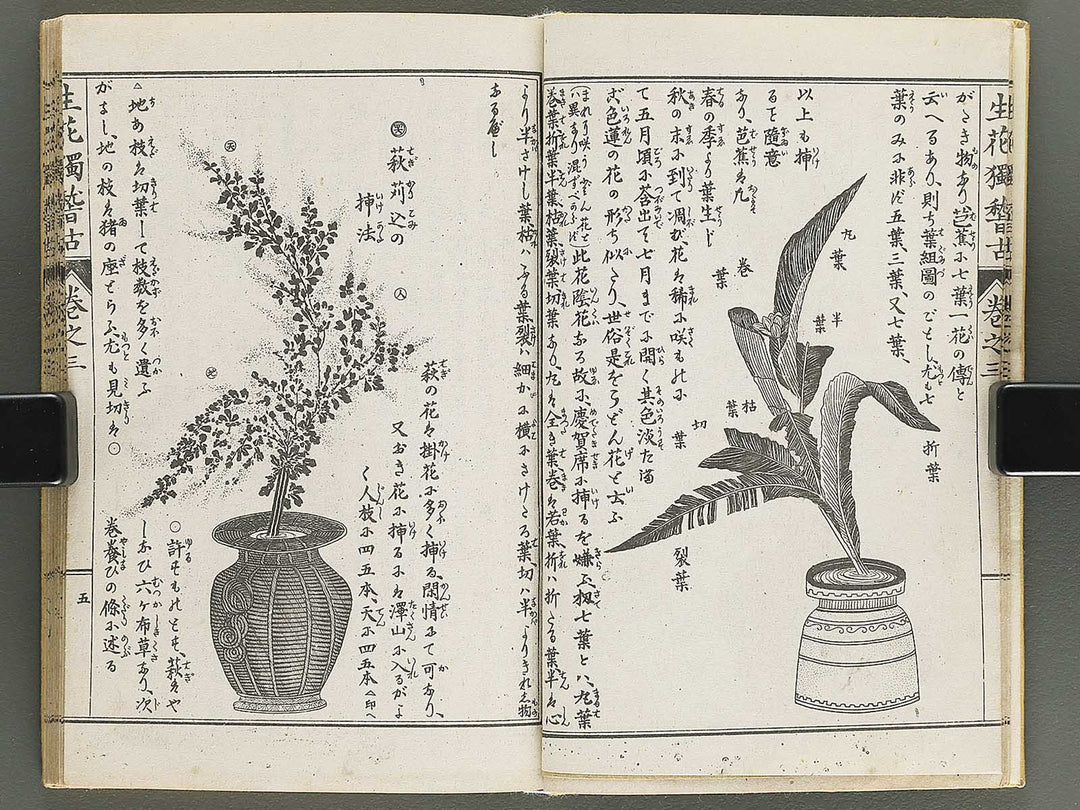 Shoryu hiden ikebana hitorigeiko Volume 3 / BJ347-942