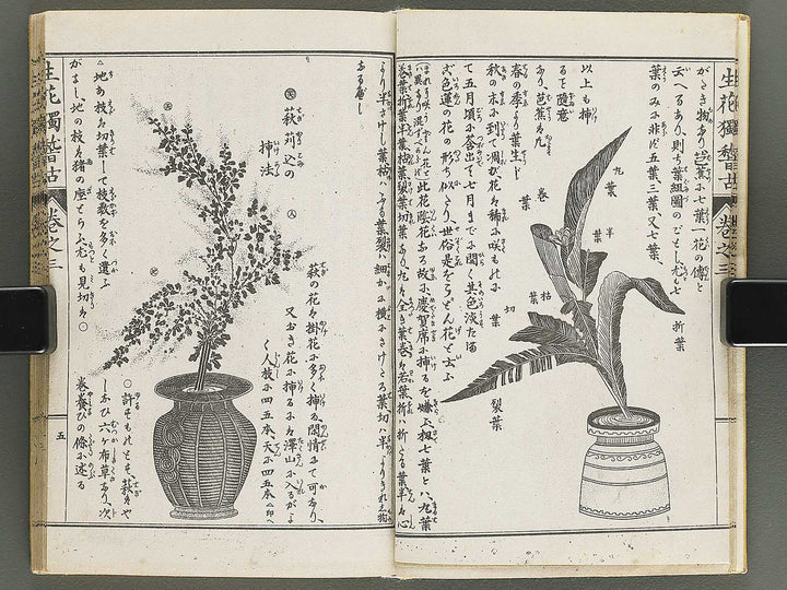 Shoryu hiden ikebana hitorigeiko Volume 3 / BJ347-942