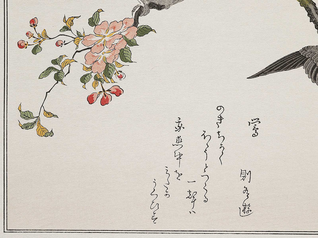 Mountain sparrow and Japanese bush warbler from the series Momochidori kyokaawase by Kitagawa Utamaro, (Large print size) / BJ308-329