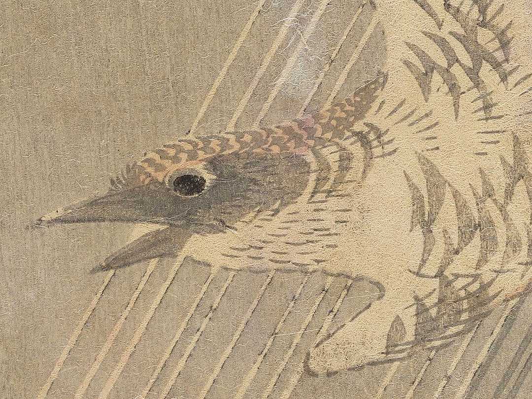 Ame no naka wo tobu Hototogisu (The original title is unknown.) / BJ353-465