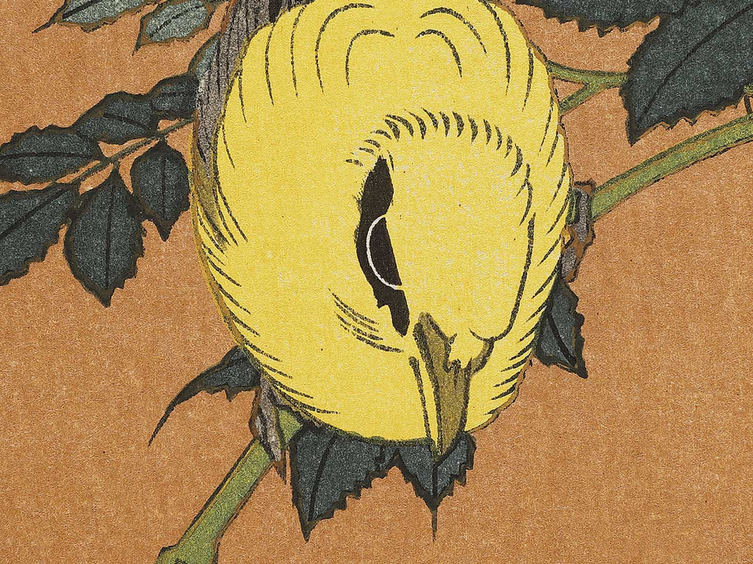 Kocho bara by Katsushika Hokusai, (Large print size) / BJ331-660