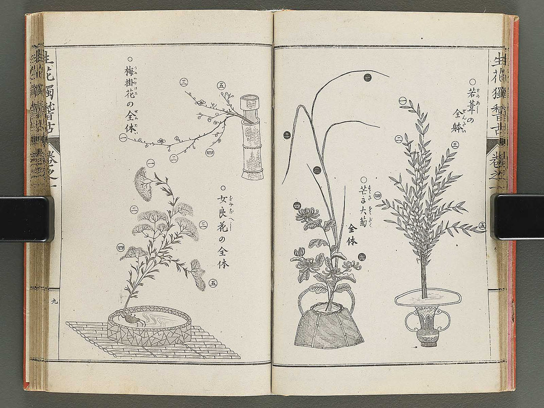 Shoryu hiden ikebana hitorigeiko Volume 1 / BJ347-928