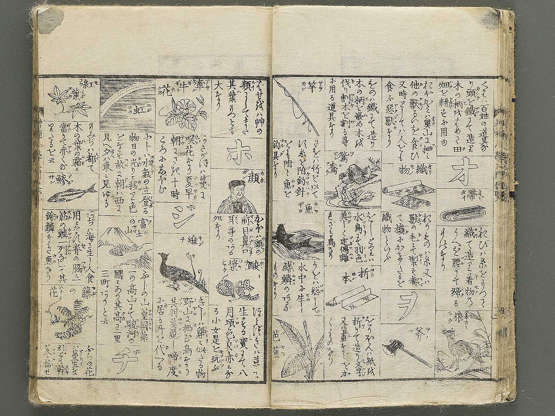 Shogaku nyumon binran / BJ350-350