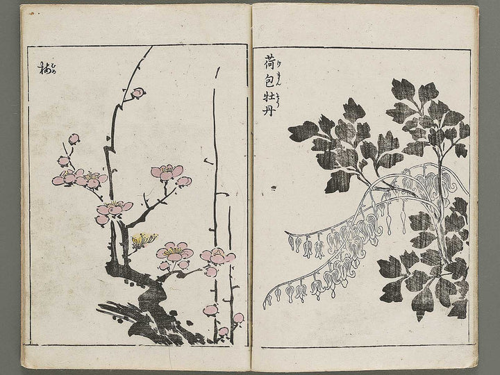 Gazu hyakuchin  / BJ334-600