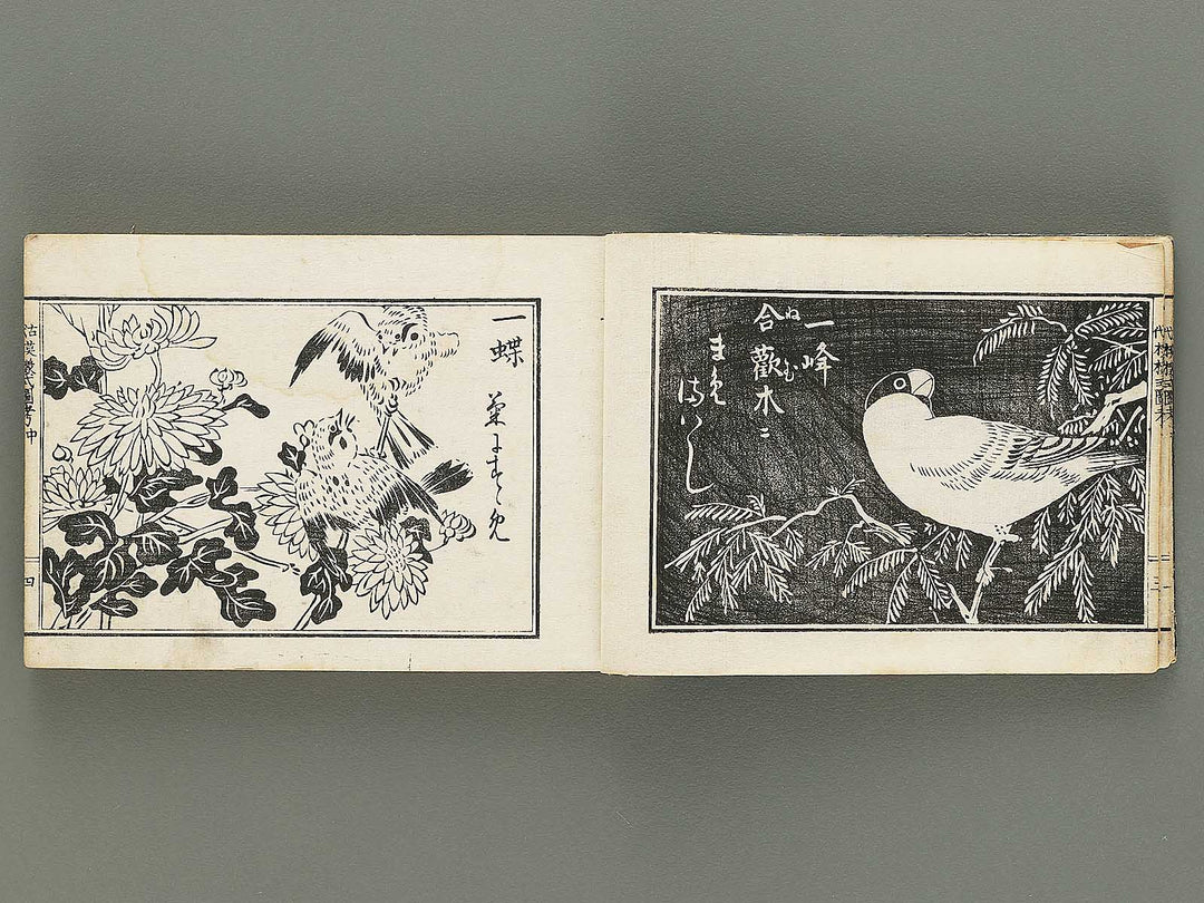 Kodai moyo shikizu ko (Chu) by Kano Motonobu, Katsushika Hokusai, Ogata Korin, Sakai Hoitsu, etc. / BJ354-158