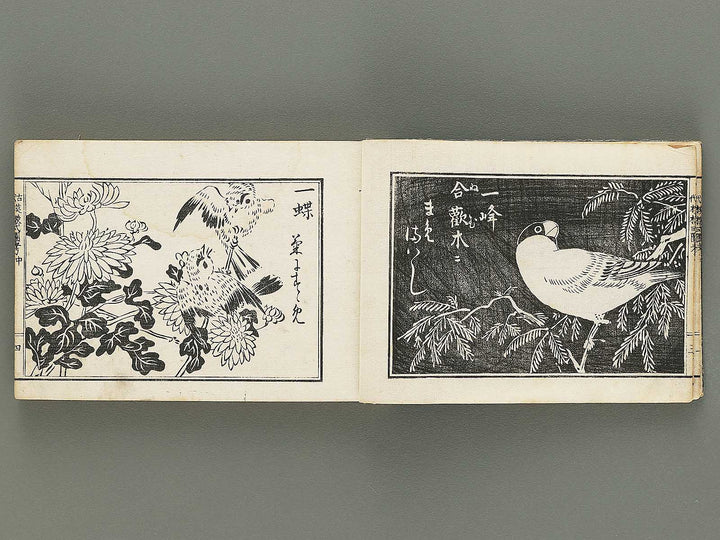 Kodai moyo shikizu ko (Chu) by Kano Motonobu, Katsushika Hokusai, Ogata Korin, Sakai Hoitsu, etc. / BJ354-158