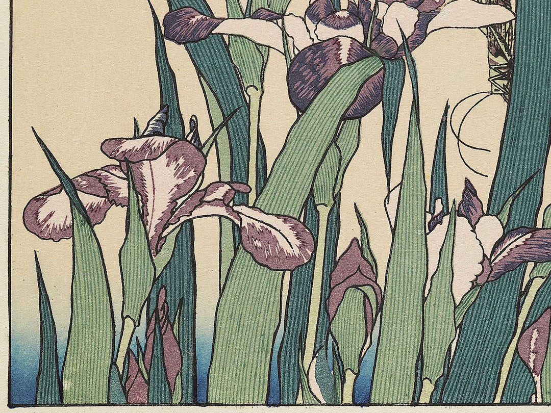 Iris and Grasshopper by Katsushika Hokusai, (Medium print size) / BJ327-432