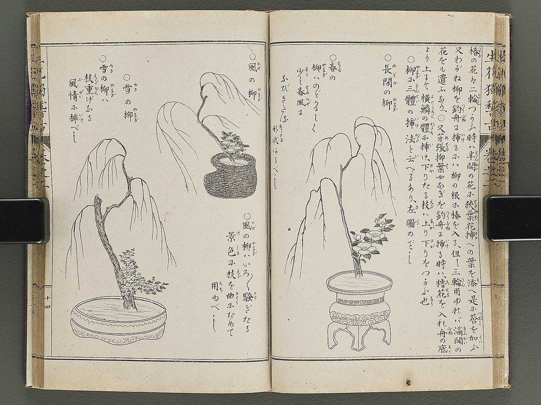 Shoryu hiden ikebana hitorigeiko Volume 2 / BJ347-935