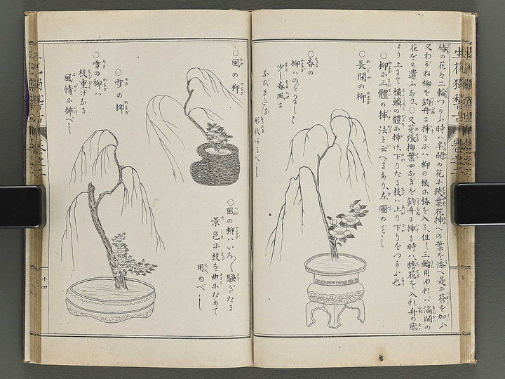 Shoryu hiden ikebana hitorigeiko Volume 2 / BJ347-935