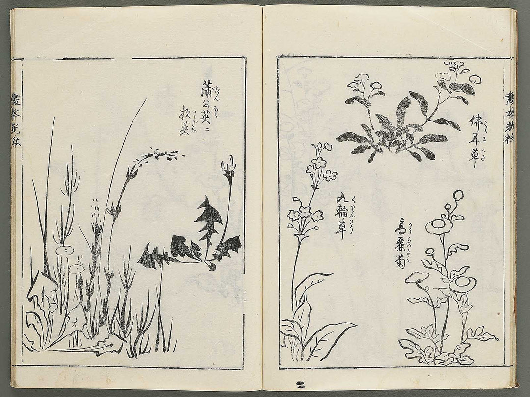 Korin michishirube by Nonomura Chubee / BJ351-134