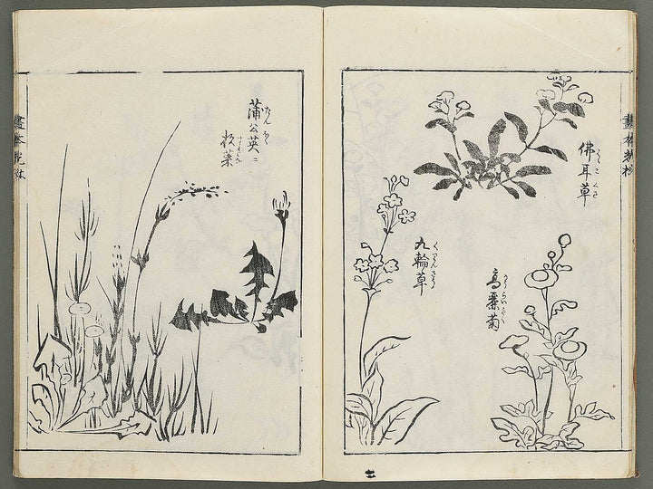 Korin michishirube by Nonomura Chubee / BJ351-134
