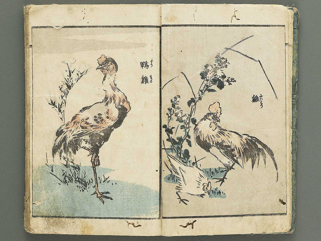 Yanagawa gafu (Kacho bu) by Yanagawa Shigenobu / BJ348-964
