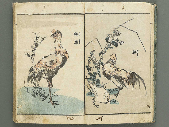Yanagawa gafu (Kacho bu) by Yanagawa Shigenobu / BJ348-964