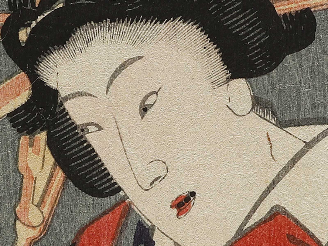 U no koku from the series Tosei juniji no uchi by Utagawa Yoshitora / BJ326-627