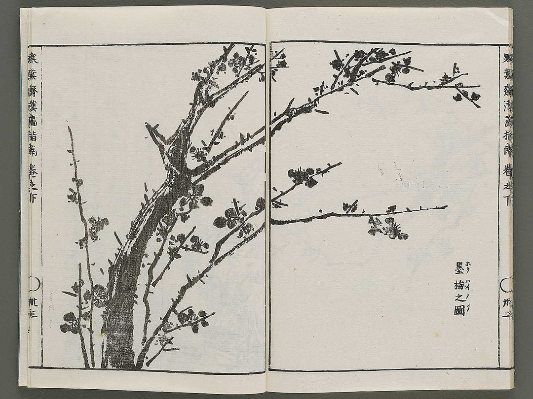 Kanga shinan Kon (Part 2 of 2) by Takebe Ayatari / BJ335-846