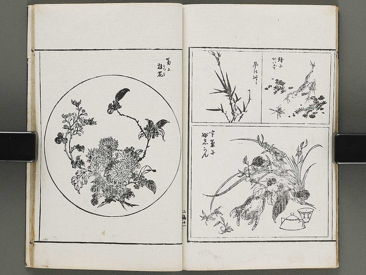 Shunzan gafu Volume 2 by Naoe Tokutaro / BJ318-360