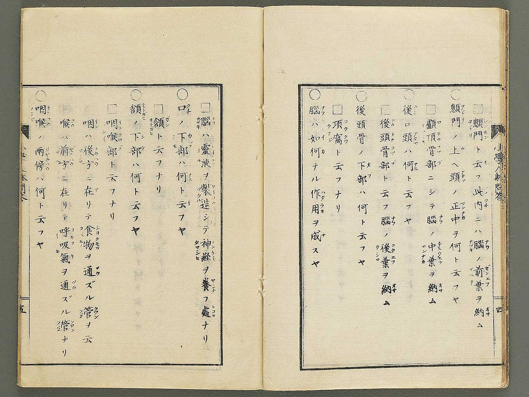Shogaku jintai mondo / BJ352-884