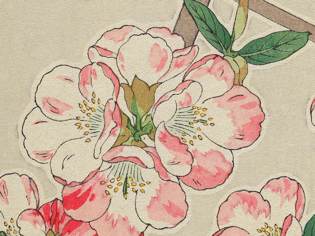 Boke by Kawarazaki Shodo, (Large print size) / BJ346-255