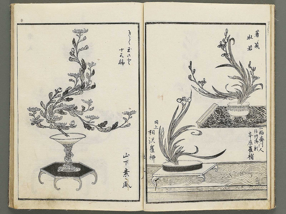 Jikei onryu ikebana chiyo no matsu / BJ342-244